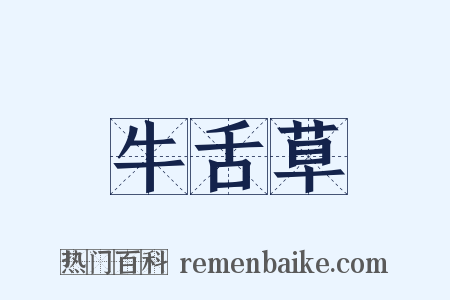 牛舌草是什么意思的图片